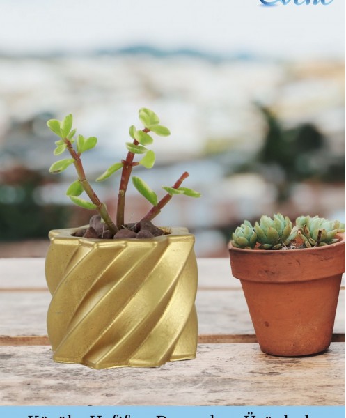 Mini Çiçek Saksı Küçük Sukulent Altın Kaktüs Saksısı 3lü Set Kalın Çizgili Yıldız Model
